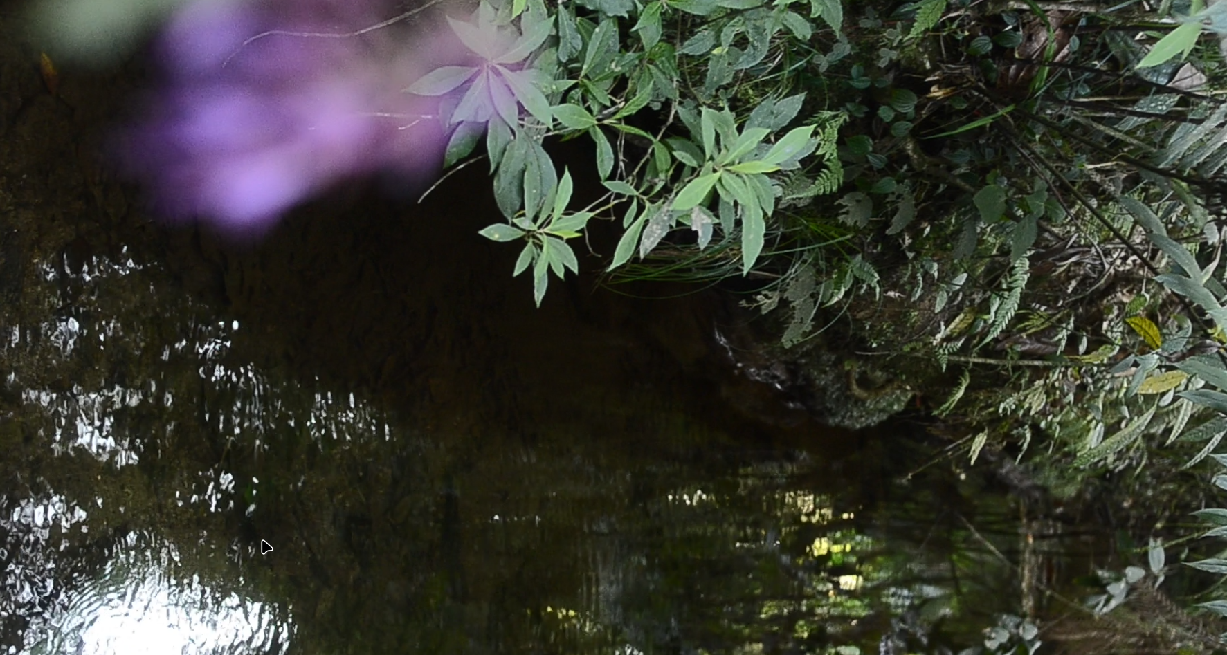 Quebrada Santa Elena